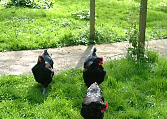 Bed and breakfast B&B Abbekerk