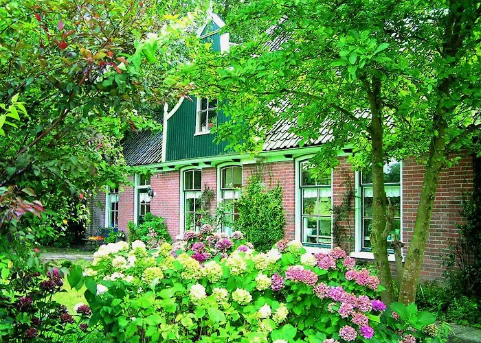 Bed & Breakfast B&B Abbekerk Abbekerk